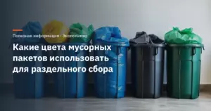 Какие цвета мусорных пакетов использовать для раздельного сбора