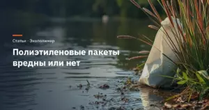 Полиэтиленовые пакеты вредны или нет: здоровье, дети, микропластик